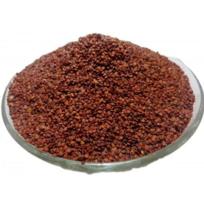 Touch Me Not Seeds for Home Garden SRI SAI FORESTRY