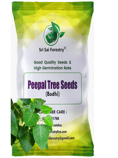 Peepal Tree Seeds – Ficus Religiosa for Avenue and Shade Trees SRI SAI FORESTRY
