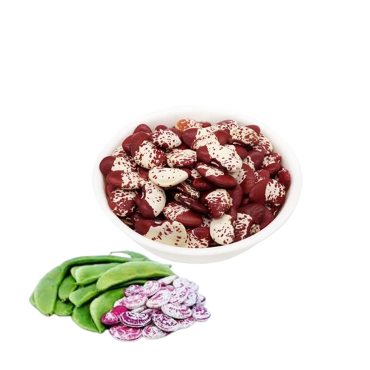 Double Beans - Red seed (Lima Beans) SRI SAI FORESTRY