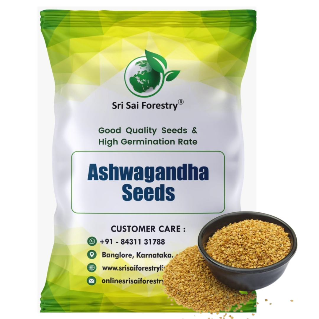 Ashwagandha Seeds – Grow Your Own Powerful Ayurvedic Herb at Home SRI SAI FORESTRY