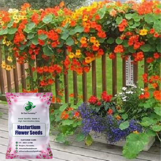 Nasturtium Mixed Color Climbing Flower Seeds, Jewel of Africa SRI SAI FORESTRY