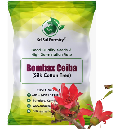 Bombax Ceiba Red Silk Cotton, Marathi Moggu Tree Seeds for Avenue, Garden, Ornamental, Indian Spice SRI SAI FORESTRY