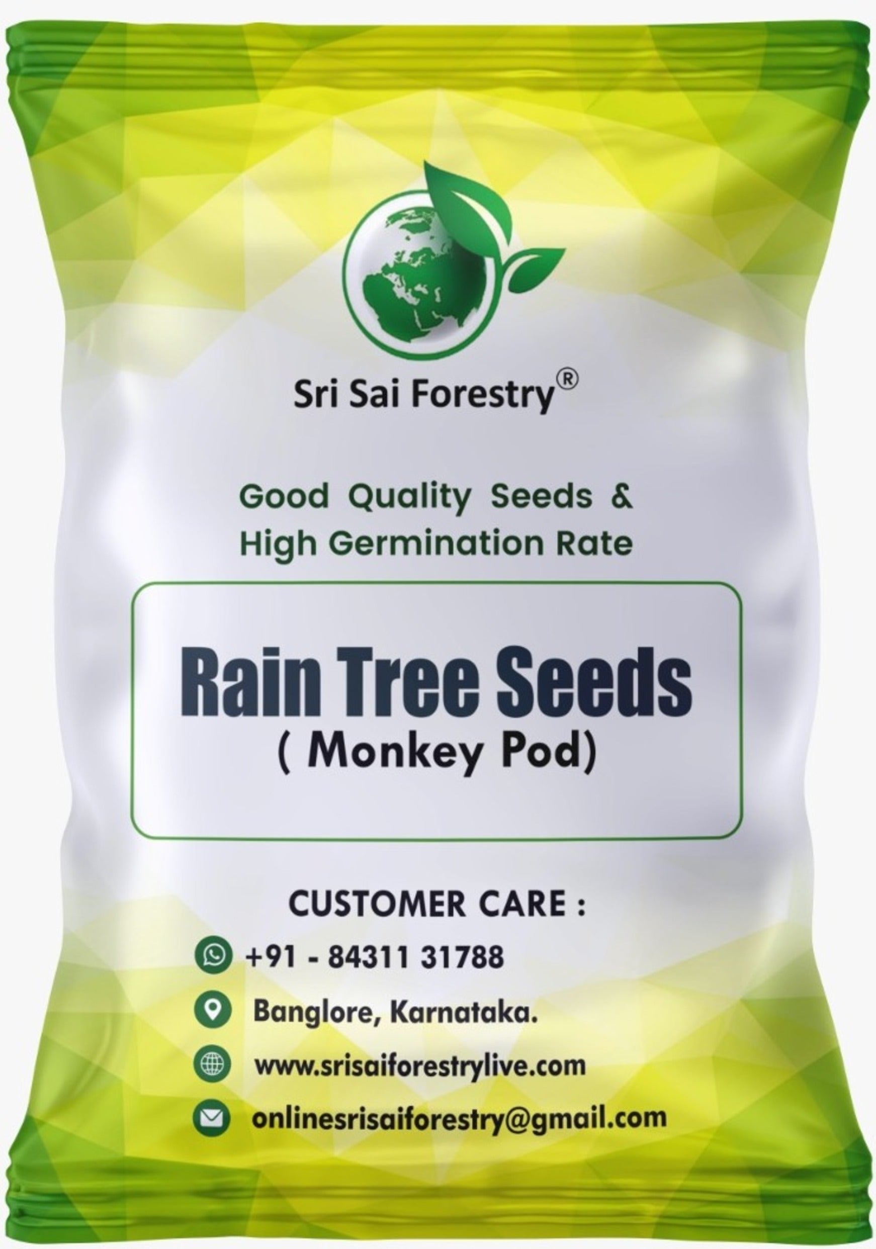 Rain Tree Seeds (Albizia Saman / Monkey Pod) – Premium Quality SRI SAI FORESTRY