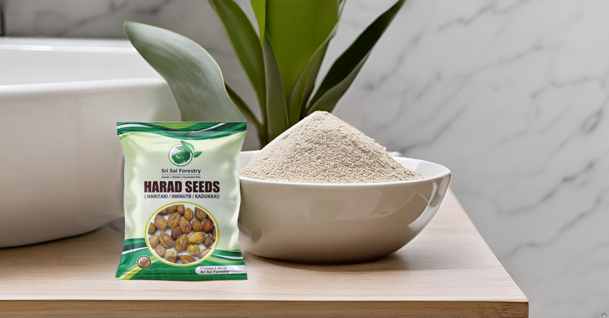 Organic Badi Harad Seeds (Haritaki | Kadukkai | Karakkaya | Terminalia Chebula | Ink Nut Seeds SRI SAI FORESTRY