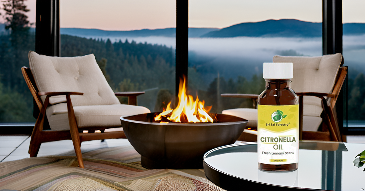 Nilgiri Hills Citronella Oil for Natural Hair Care, Oily Skin Treatment & Aromatherapy SRI SAI FORESTRY