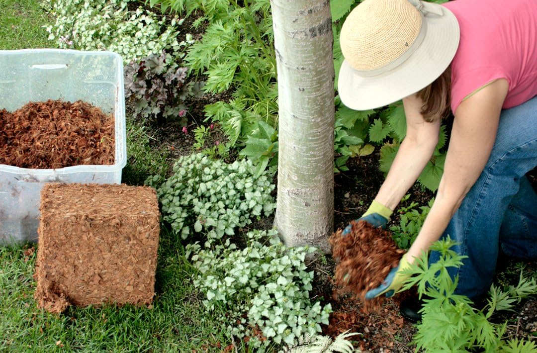 Coconut Husk Coco Chips for Plants Sustainable Soil Enhancer, Mulch for Gardening, Moisture Retention & Soil Aeration, Perfect for Potting Mix SRI SAI FORESTRY
