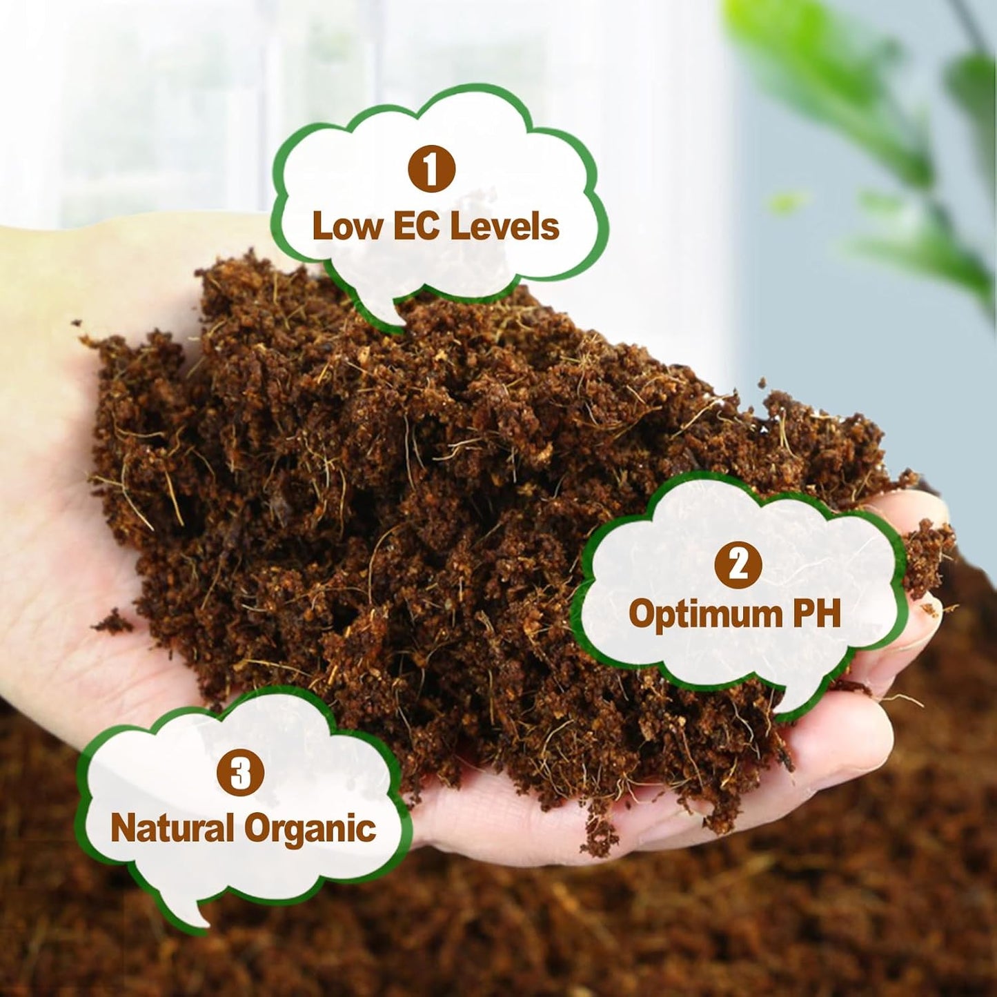 Cocopeat Growing Medium Ready-to-Use Potting Mix for Seedlings & Potted Plants SRI SAI FORESTRY