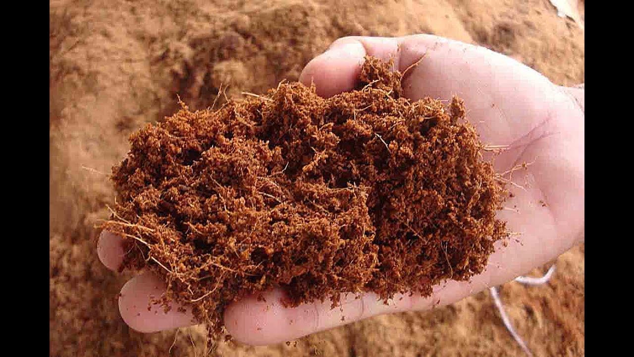 Cocopeat Block – 100% Natural Coconut Coir Fiber SRI SAI FORESTRY