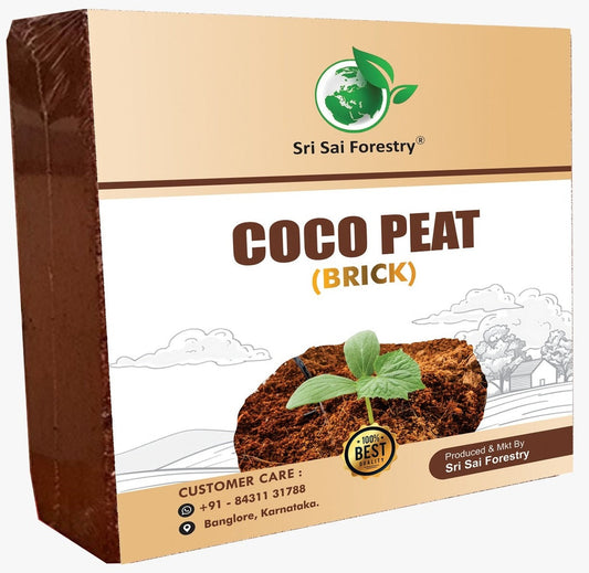 Cocopeat Block – 100% Natural Coconut Coir Fiber SRI SAI FORESTRY