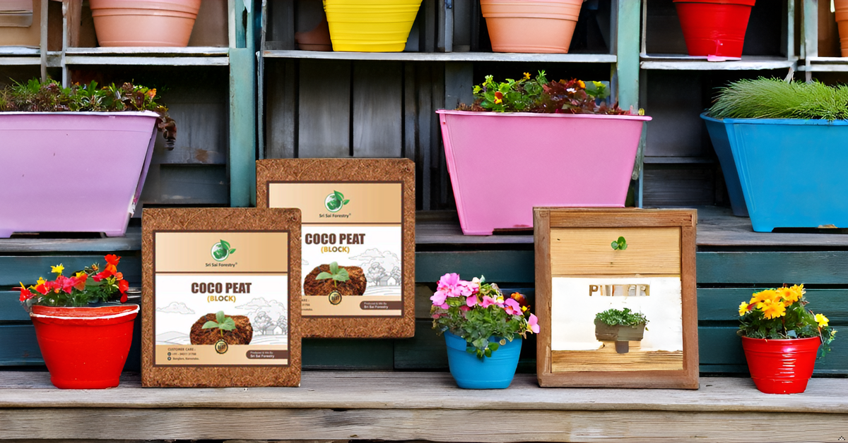 Cocopeat Block – 100% Natural Coconut Coir Fiber SRI SAI FORESTRY
