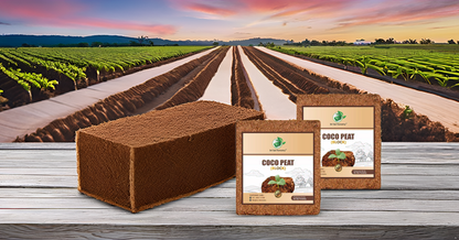 Cocopeat Block – 100% Natural Coconut Coir Fiber SRI SAI FORESTRY