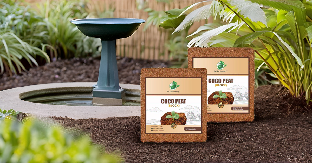 Cocopeat Block – 100% Natural Coconut Coir Fiber SRI SAI FORESTRY