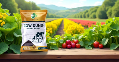 Cow Dung Manure for Plants – 100% Organic & Natural Fertilizer SRI SAI FORESTRY