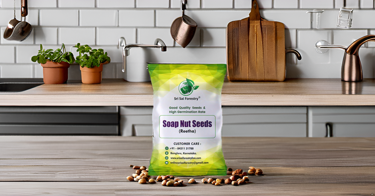Soap Nut Tree Seeds (Sapindus Marginatus), Indian Reetha Seed for Home Use and Planting SRI SAI FORESTRY