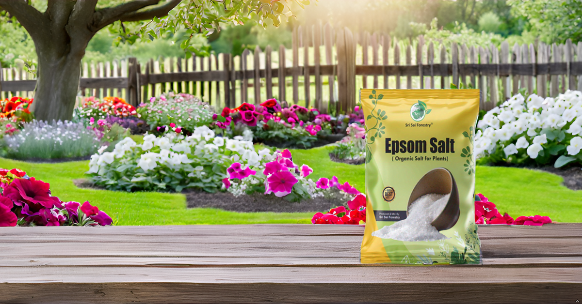 SRI SAI FORESTRY Epsom Salt for Plants, Organic Magnesium Sulfate, Enhances Growth, Flowering, Fruit Production SRI SAI FORESTRY