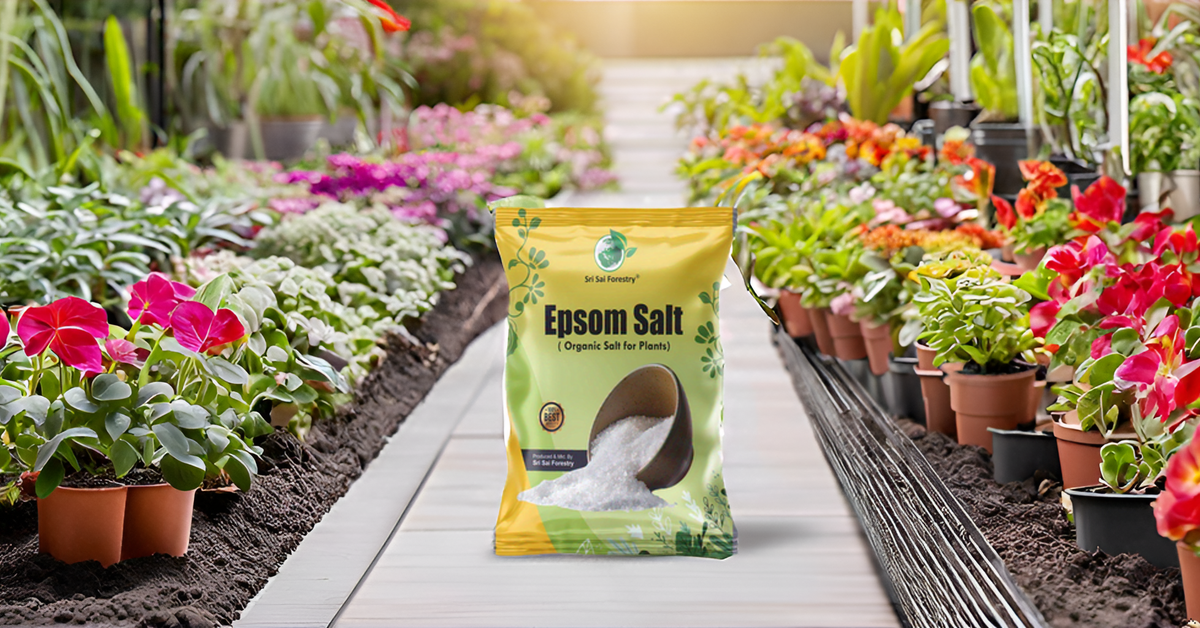 SRI SAI FORESTRY Epsom Salt for Plants, Organic Magnesium Sulfate, Enhances Growth, Flowering, Fruit Production SRI SAI FORESTRY
