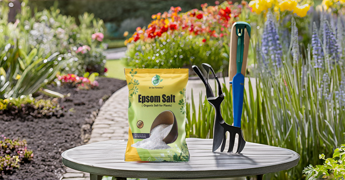 SRI SAI FORESTRY Epsom Salt for Plants, Organic Magnesium Sulfate, Enhances Growth, Flowering, Fruit Production SRI SAI FORESTRY
