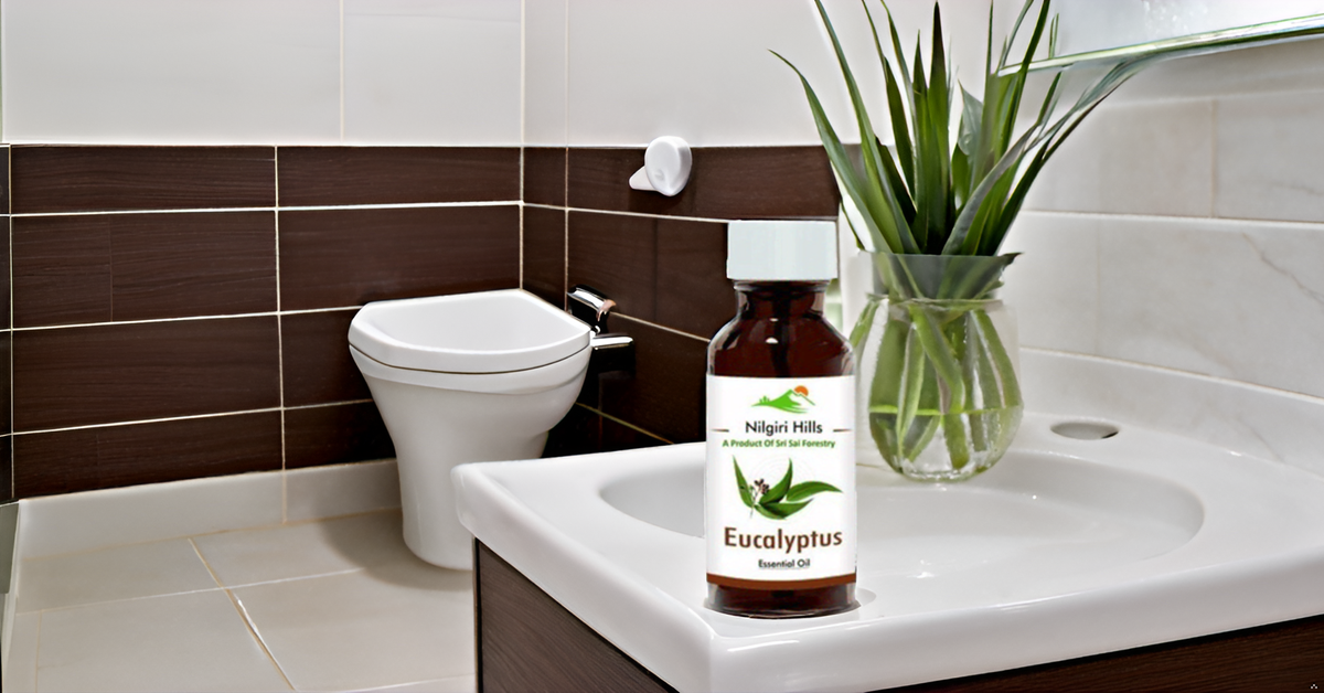 Eucalyptus Essential Oil (Nilgiri) - Therapeutic Grade SRI SAI FORESTRY
