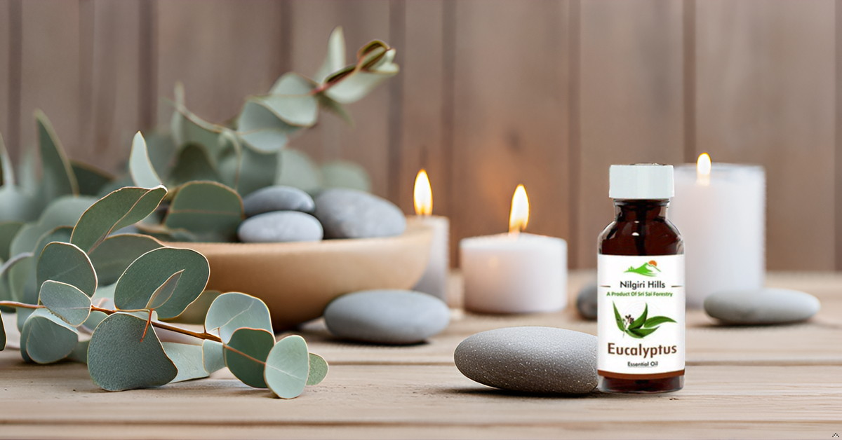 Eucalyptus Essential Oil (Nilgiri) - Therapeutic Grade SRI SAI FORESTRY