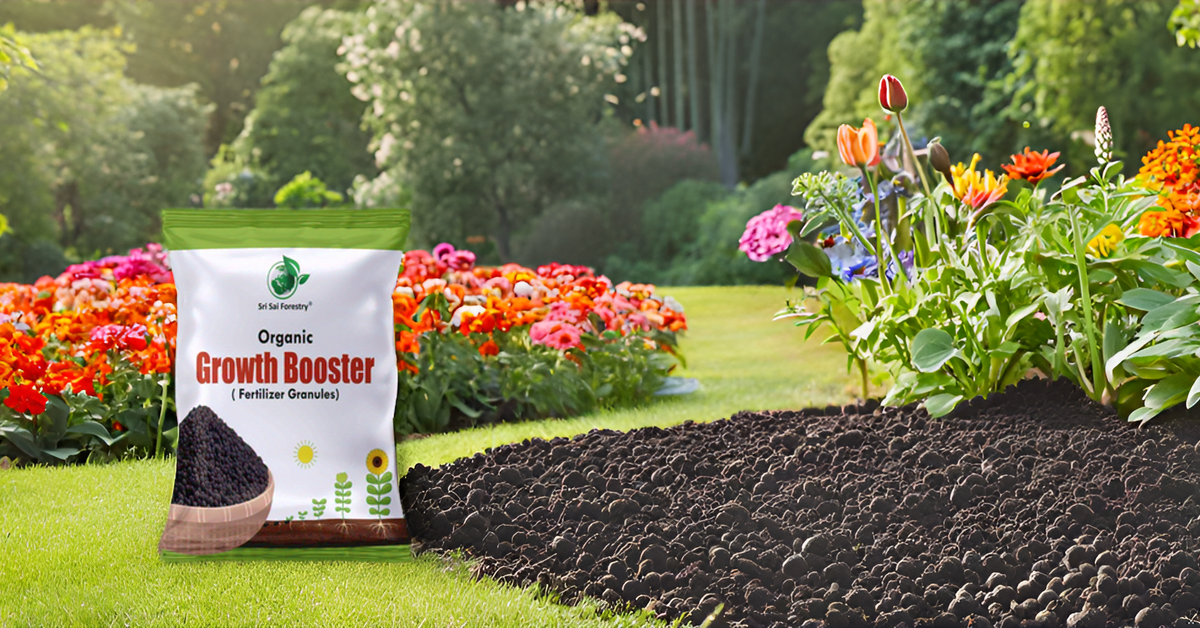 Growth Booster Fertilizer  Granules – All-in-One Plant Food for Indoor & Outdoor Gardens, Enhances Flowers, Fruits, Veggies & Herbs SRI SAI FORESTRY