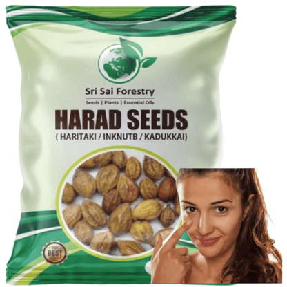 Organic Badi Harad Seeds (Haritaki | Kadukkai | Karakkaya | Terminalia Chebula | Ink Nut Seeds SRI SAI FORESTRY