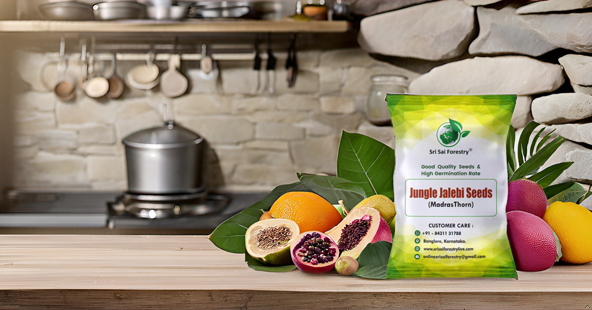 Jungle Jalebi Fruit Seeds (Manila Tamarind, Madras Thorn) SRI SAI FORESTRY