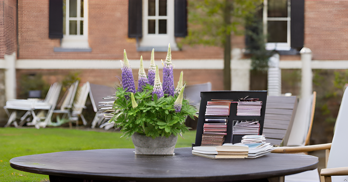 Lupin Flower Seeds – Stunning, Tall Blooms for Your Garden & Balcony SRI SAI FORESTRY