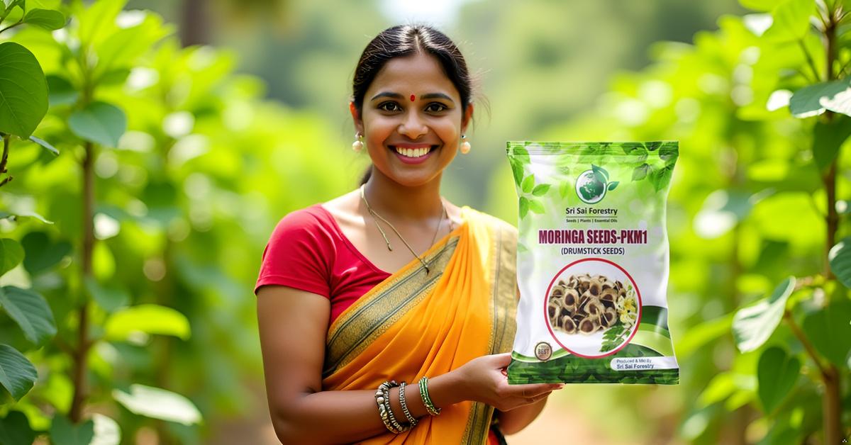 Moring Vegetable Seeds for Home Garden SRI SAI FORESTRY