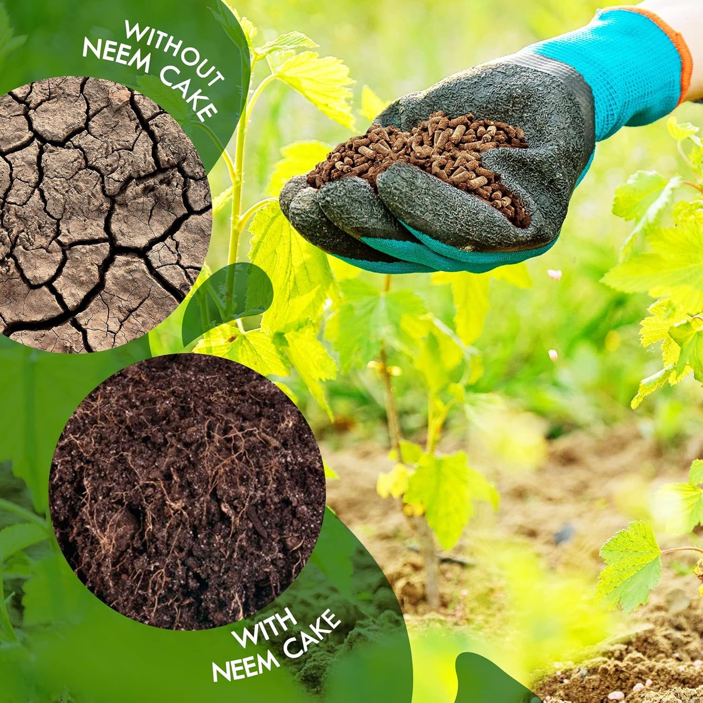 Neem Cake Powder for Plants – Organic Soil Enhancer, Natural Pest Control, Rich in Nitrogen, Phosphorus & Potassium for Healthier Growth – Neem Cake Fertilizer SRI SAI FORESTRY