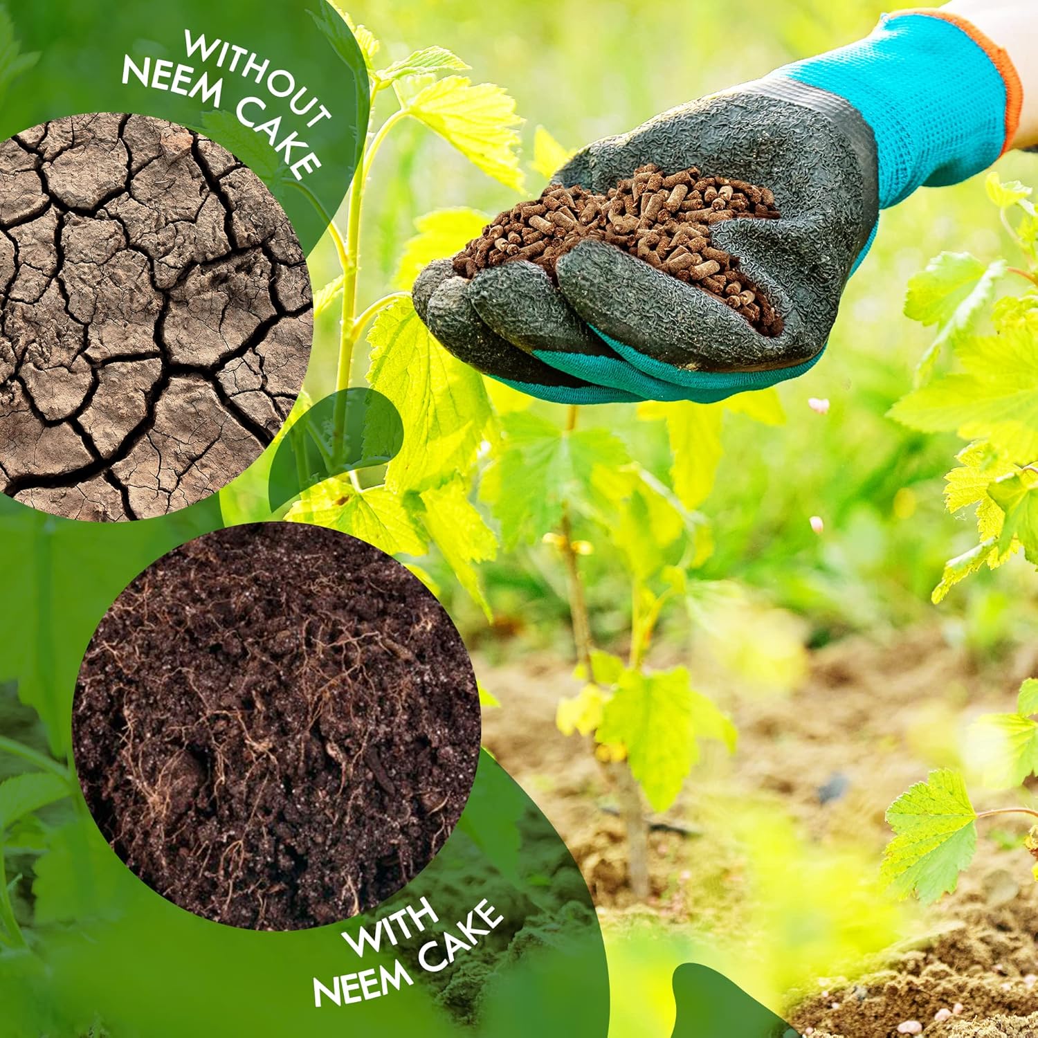 Neem Cake Powder for Plants – Organic Soil Enhancer, Natural Pest Control, Rich in Nitrogen, Phosphorus & Potassium for Healthier Growth – Neem Cake Fertilizer SRI SAI FORESTRY