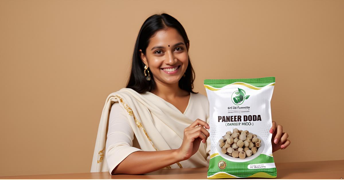 Paneer Dodi | Paneer Phool For Diabetes SRI SAI FORESTRY