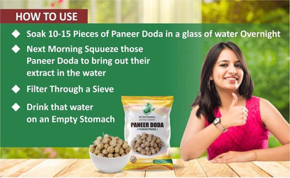 Paneer Dodi | Paneer Phool For Diabetes SRI SAI FORESTRY