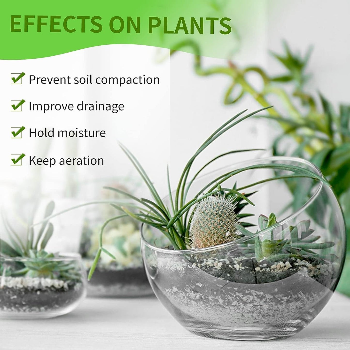 Perlite for Hydroponics & Horticulture – Ideal for Terrace Gardening & Soilless Potting Mix SRI SAI FORESTRY