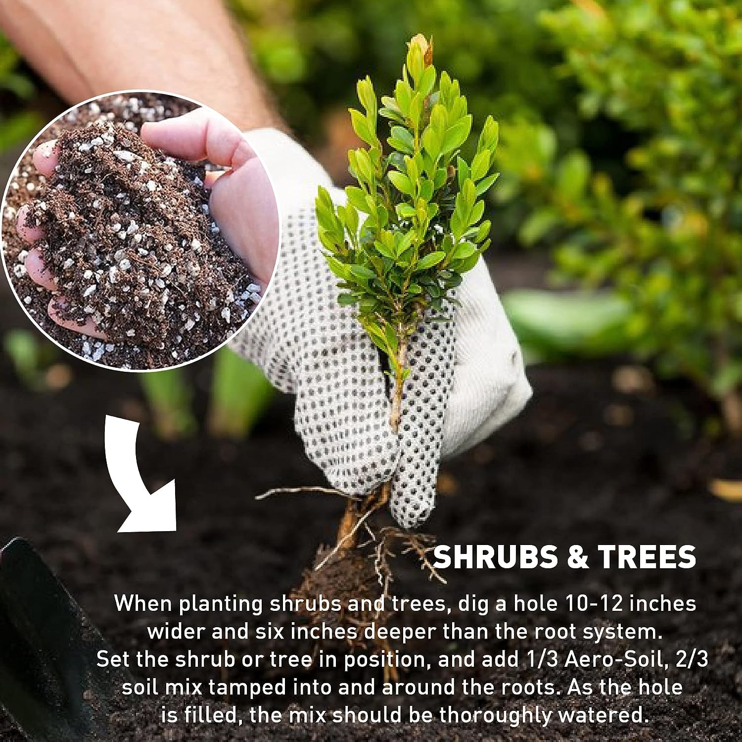 Perlite for Hydroponics & Horticulture – Ideal for Terrace Gardening & Soilless Potting Mix SRI SAI FORESTRY