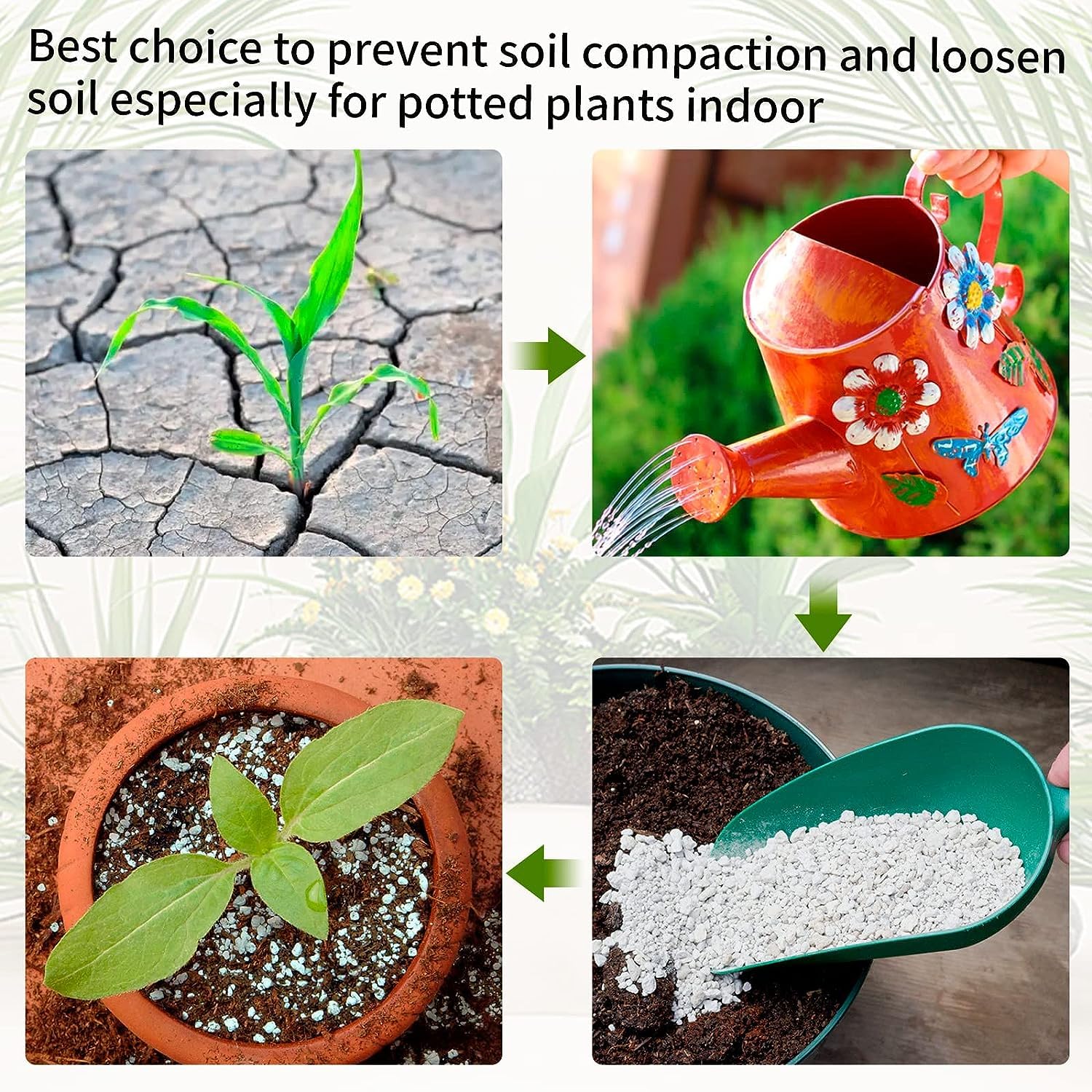Perlite for Hydroponics & Horticulture – Ideal for Terrace Gardening & Soilless Potting Mix SRI SAI FORESTRY