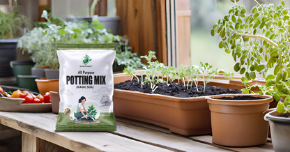 Organic Potting Soil Mix for Plants Home Garden| Ready to use Potting Mix Made with Vermicompost - Cocopeat - NeemCake - Red Soil - River Sand - Bone Meal - Natural Green Manure SRI SAI FORESTRY