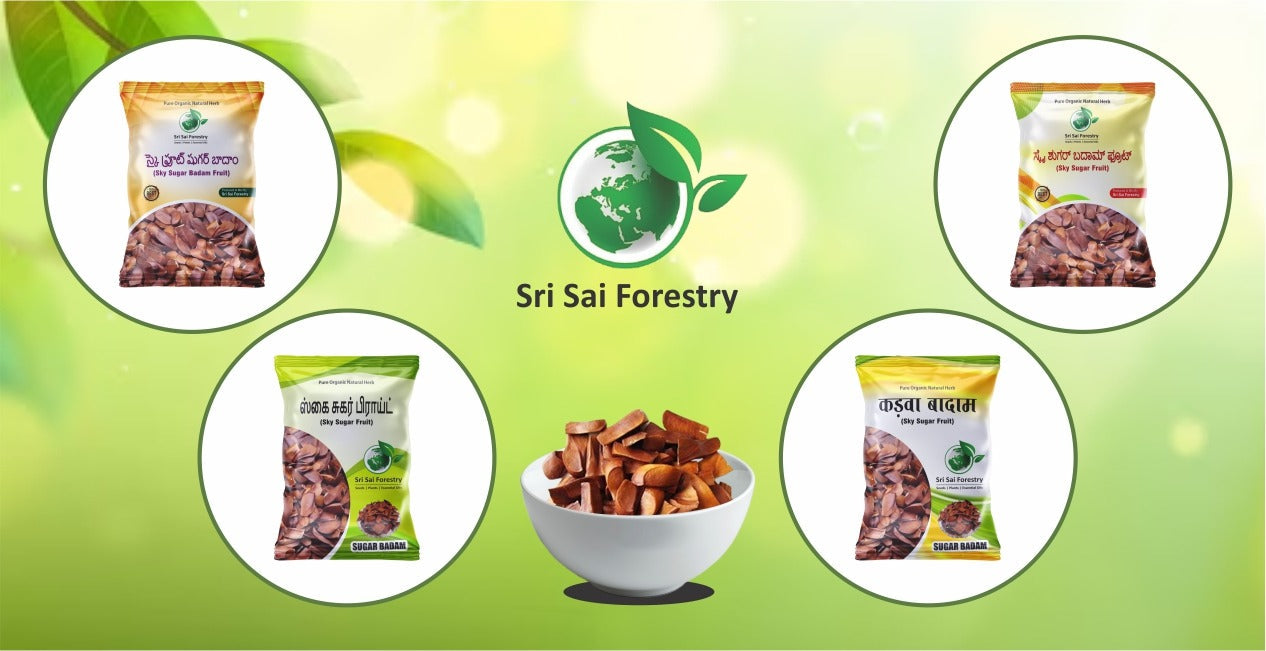 Sugar badam Sky fruit seeds Kadwa - Adavi Badam - Akasha Pandu - Kadwa Badam Seeds SRI SAI FORESTRY