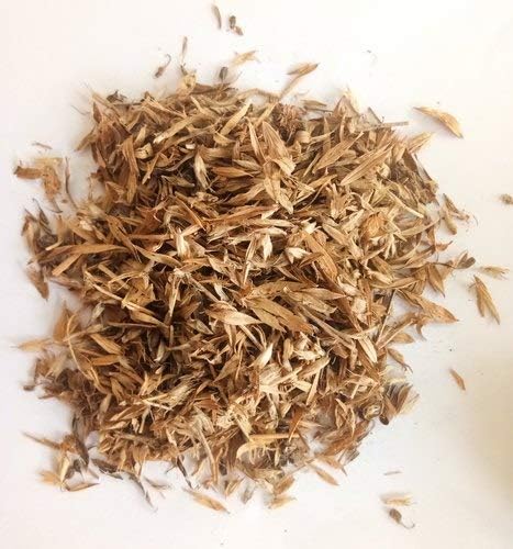 Stylo Hamata Grass Seeds for Animal Fodder | Stylo Hamata Grass SRI SAI FORESTRY