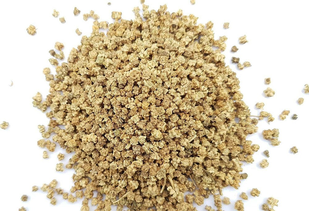 Spinach Seeds for Planting Palak Pasala Keerai Palakura Vegetable Seed for Home Garden, Terrace &amp; Balcony Gardening SRI SAI FORESTRY