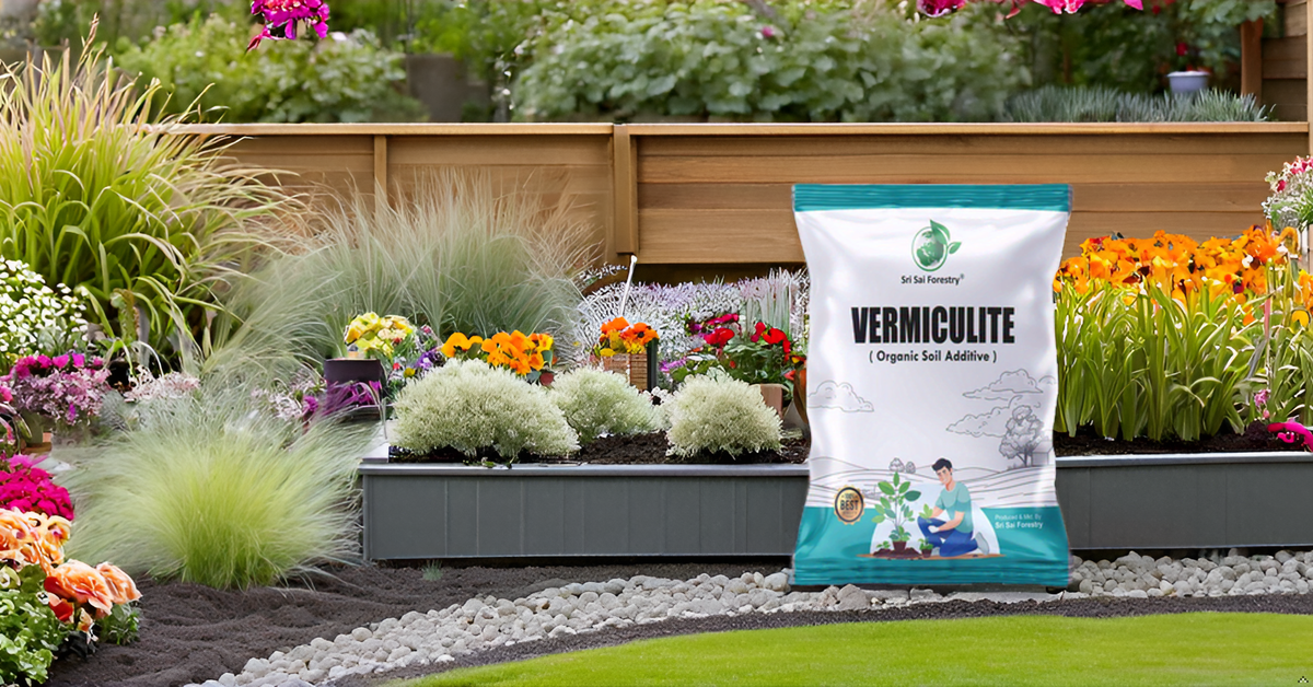 Vermiculite for Gardening & Hydroponics | 100% Natural, Non-Toxic & Chemical-Free | Improves Soil Aeration, Drainage, & Water Retention | Ideal for Potting Mix, Seed Starting SRI SAI FORESTRY